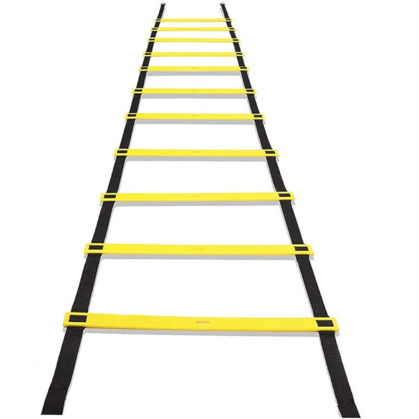 Ladder.jpg