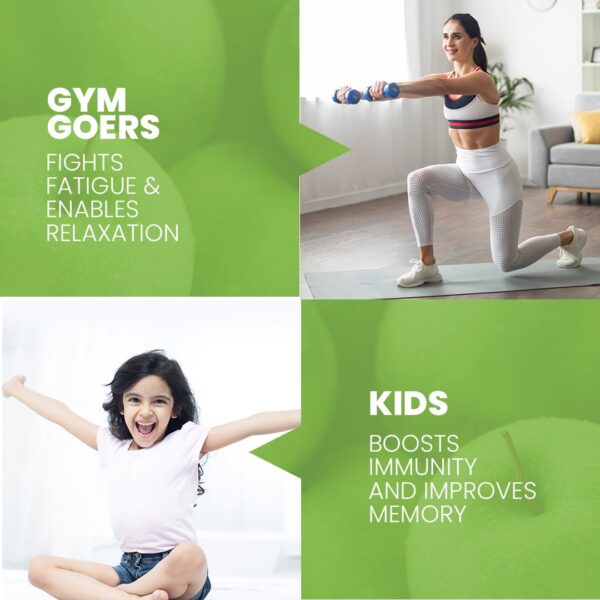 61dBdXc2k3L._SL1080_.jpg 61dBdXc2k3L._SL1080_.jpg