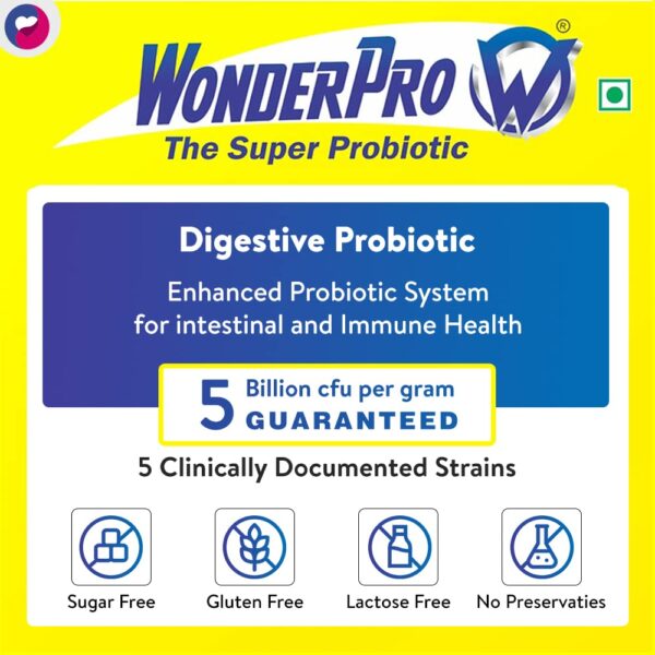 61pdVvjJlL._SL1000_.jpg 61pdVvjJlL._SL1000_.jpg